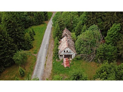 Foto 83